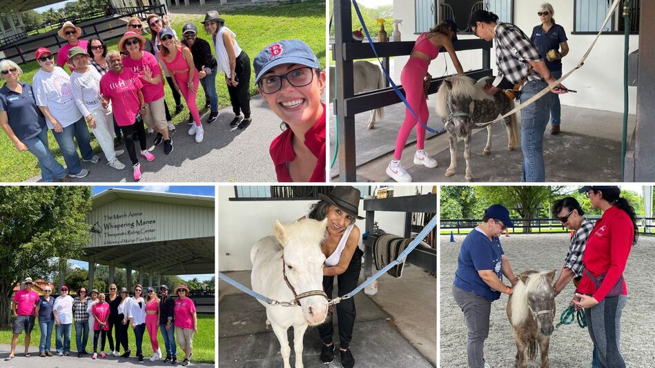 Experience the Healing Power of Horses (2)